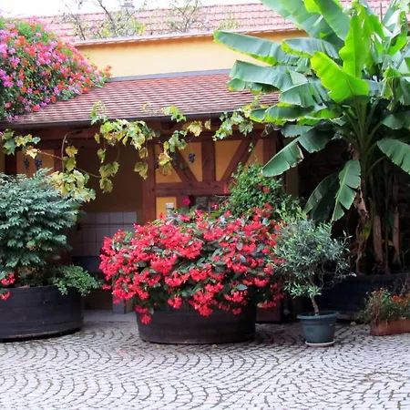 Fruehmess Itterswiller